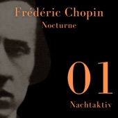 Nocturne in b flat minor, Op. 9 No. 1 artwork