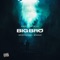 Big Bro (feat. Ybthetrapgod & Spirojay) - Smf Bigtalkk lyrics