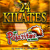 24 Kilates - Los Pajaritos de Tacupa