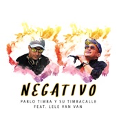Negativo (feat. Lele Van Van) artwork
