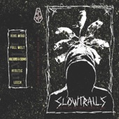 Slow Trails - Vultures and Crows