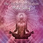 Mark Seelig - Prana Meditation
