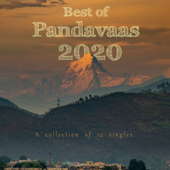 Best of Pandavaas 2020 - Pandavaas