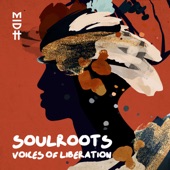 Voices of Liberation (feat. Troymusiq) artwork