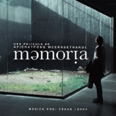 Memoria (Una película de Apichatpong Weerasethakul) artwork