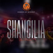 Shangilia artwork