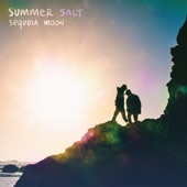 Trouble in Paradise by Summer Salt