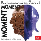 Budweiserová & Žáček Moment (Spirituals And Other Songs) artwork