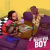 Beautiful Boy (feat. Wanlov & Ponobiom) - Single album lyrics, reviews, download