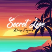 Secret Love artwork