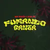 Stream & download Fumando Ganja - Single