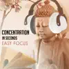 Concentration in Seconds: Easy Focus, Central Calm, Autogenic Training album lyrics, reviews, download