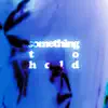 Stream & download Something To Hold - Single