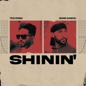 Shinin' artwork