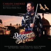 Despierta Boricua (Violin Solo) [feat. Lewis Kahn] artwork