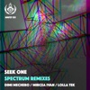 Spectrum Remixes - EP