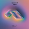 Anjunabeats Rising, Vol. 9