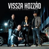 Vissza hozzád (feat. Panna) artwork