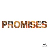 Promises (Radio Version) artwork