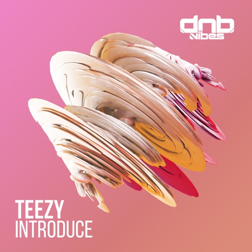 Introduce - Single by Teezy