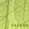 Sacred Part One - Charlie Roscoe