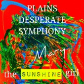 Plains Desperate Symphony - How To Start A Civil War