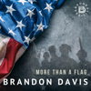 Brandon Davis - More Than a Flag  artwork