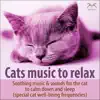 Stream & download Cat Music to Relax - Soothing Music & Sounds for the Cat to Calm Down and Sleep (Special Cat Feel-Good Frequencies)