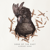 Into the Sun (EP Version) - Sons Of The East