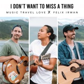 I Don't Want to Miss a Thing (feat. Felix Irwan) artwork