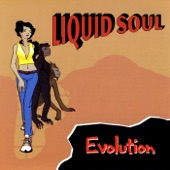 Liquid Soul - Action Jackson