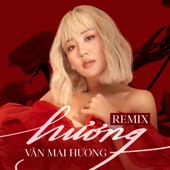 Hương (HAOZI x RINV Remix) artwork