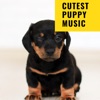 Cutest Puppy Music