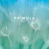 Primula - Single album lyrics, reviews, download