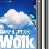 wolk (feat. Jayydoho) artwork