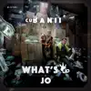 CuBANii - Single album lyrics, reviews, download