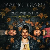 In the Wind (Acoustic) - EP artwork