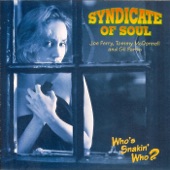 Syndicate Of Soul - Love The One You’re With