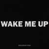 Wake Me Up - Single