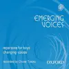 Emerging Voices album lyrics, reviews, download