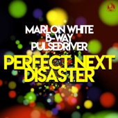 Perfect Next Disaster (Single Mix) artwork