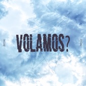 Volamos? artwork