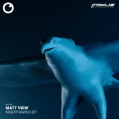 Matt View - Nighthawks