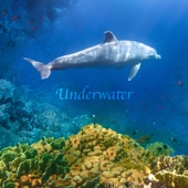 Underwater artwork