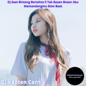 DJ Tak Bosan Bosan Aku Memandangmu Slow Beat artwork