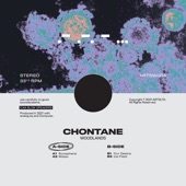 Chontane - Ecosphere