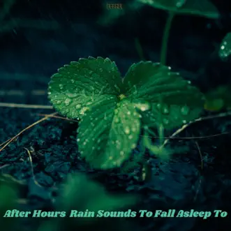 Nature Rain Sounds by Derrol & Rain Sounds song reviws