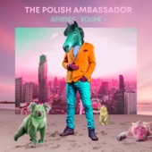 The Polish Ambassador & Friends, Vol. 1 (feat. Jesse Klein, Robin Jackson & Ananda Vaughan) artwork