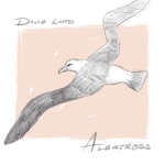 David Latto - Albatross