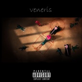 Squid Game: Pink Soldiers (veneris Remix) artwork